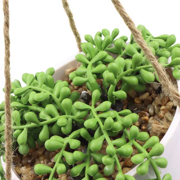 Planta colgante art