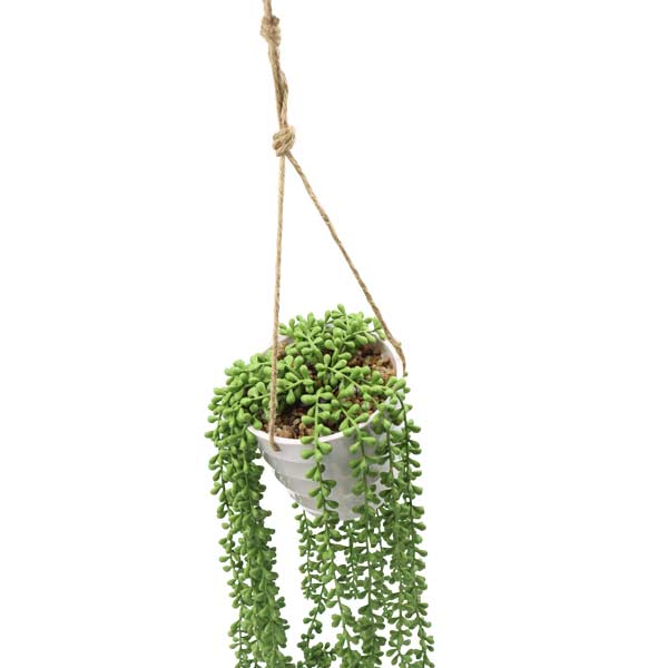 Planta colgante art