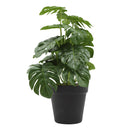 Planta artificial