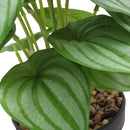 Planta artificial