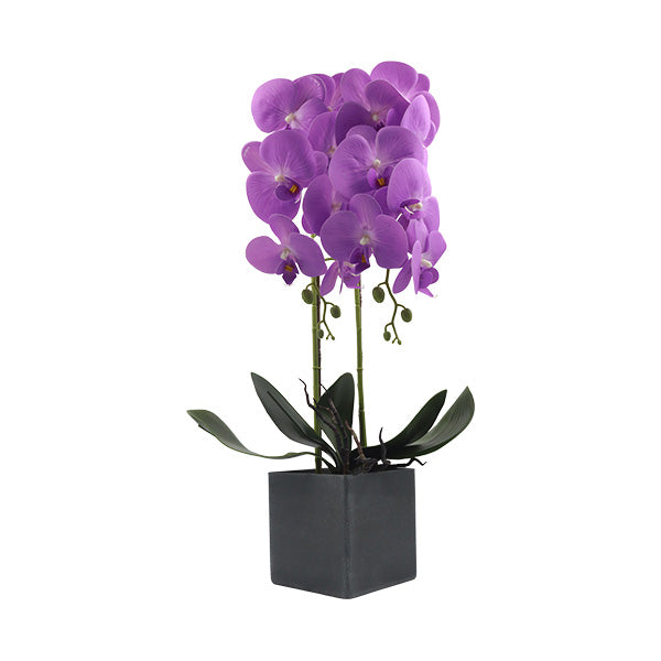 Orquidea art. Morado