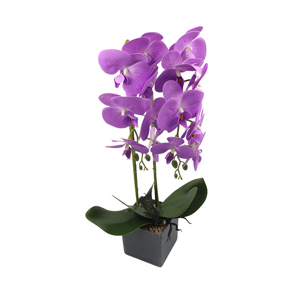 Orquidea art. Morado