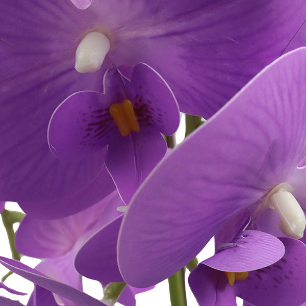 Orquidea art. Morado