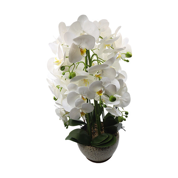 Orquidea art. Blanco