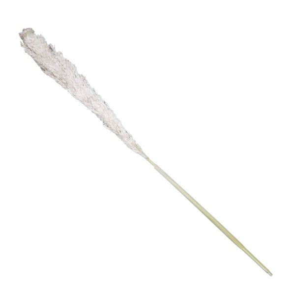 Pampa seca 140cm