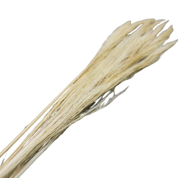 Ramas secas 120cm