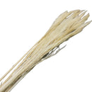 Ramas secas 120cm