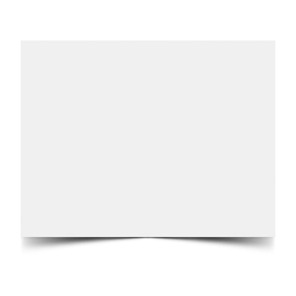 Cartulina satinada pliego 50x57 centímetros color blanco Primavera