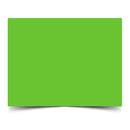 Cartulina satinada pliego 50x57 centímetros color verde claro Primavera