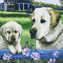 Set Diamond Painting Perros