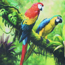 Set Diamond Painting Lapas