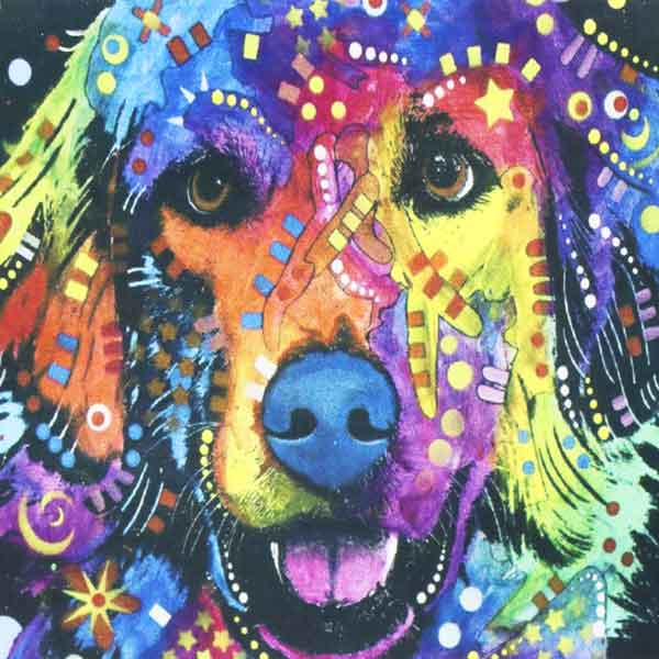 Set Diamond Painting Perro colores