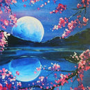 Set Diamond Painting Luna