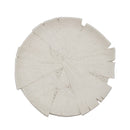 Plato decorativo
