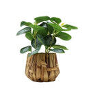 Planta artificial