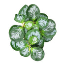 Planta artificial