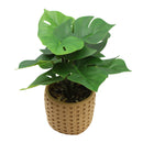 Planta artificial