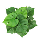 Planta artificial