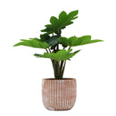 Planta artificial