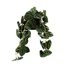 Planta artificial