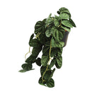 Planta artificial