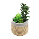 Planta artificial