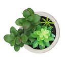 Planta artificial