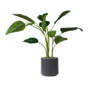 Planta artificial 100cm - Homestyle