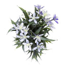 Flores artificiales 25cm
