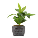 Planta artificial 18cm