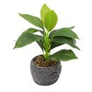 Planta artificial 18cm