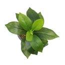 Planta artificial 18cm