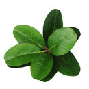 Planta artificial Homestyle