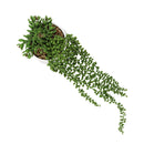 Planta colgante artificial Homestyle