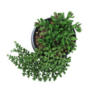 Planta colgante artificial Homestyle