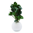 Planta artificial Homestyle