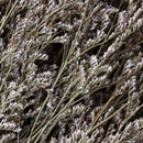 Ramas secas lavanda de mar