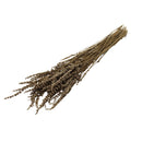 Ramas secas lavanda