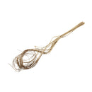 Ramas secas decorativas beige