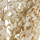 Ramas secas blancas