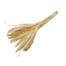 Ramas secas blancas