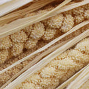 Ramas secas blancas