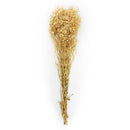 Ramas secas beige