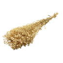 Ramas secas beige