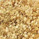 Ramas secas beige