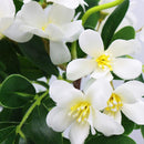 Flor artificial blanca Homestyle