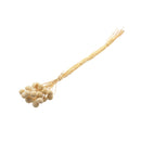 Ramo decorativo con 20 cabezas natural