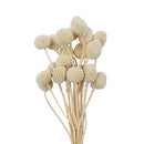 Ramo decorativo con 20 cabezas natural