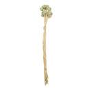 Ramo decorativo con 20 cabezas gris