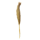 Ramo pampa 2 unidades